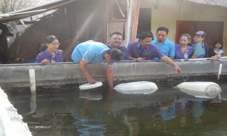 Bantuan Bibit Ikan oleh UPT BBI Dinas Peternakan Perikanan dan Kelautan Kota Denpasar
