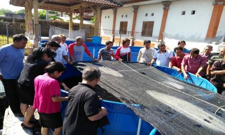 Pelatihan Biofloc 