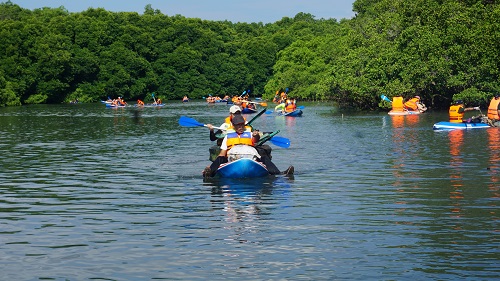 SUSUR MANGROVE 2019