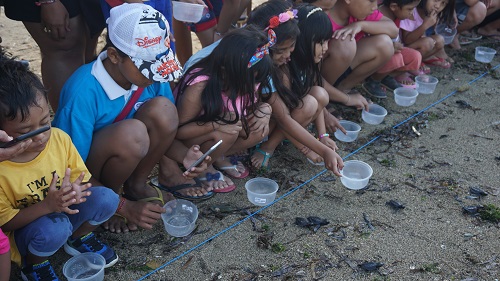 KIDS EDUCATION PEDULI PESISIR DAN EKOSISTEM LAUT