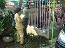 PEMERIKSAAN HEWAN PELIHARAAN