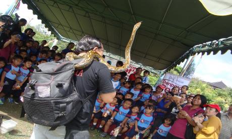 Denpasar Pets Festival