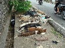 ELIMINASI ANJING LIAR