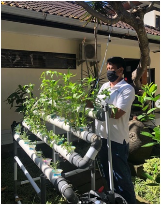 Galakkan Program Pemanfaatan Pekarangan Rumah untuk Berkebun Isi Hari Saat Dirumah saja