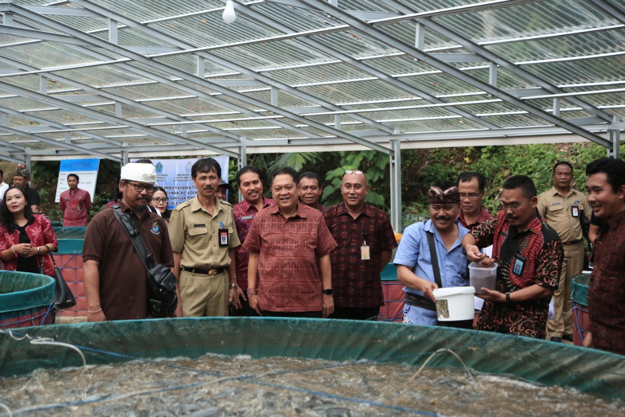 Walikota Denpasar Ikut Serta Panen Perdana Budidaya Ikan Lele Sistem Bioflok Di Yayasan Tukad Bindu 