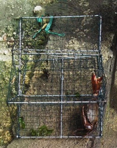 Bantuan Alat Penangkapan Ikan (BAPI) dari DJPT KKP sudah Memberi Manfaat bagi Nelayan Kota Denpasar