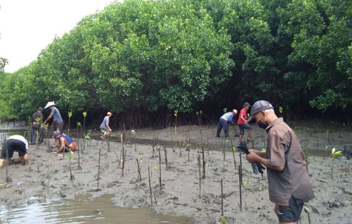 Program Pelestarian Lingkungan Penanaman Pohon Mangrove di Kawasan Hutan Tahura