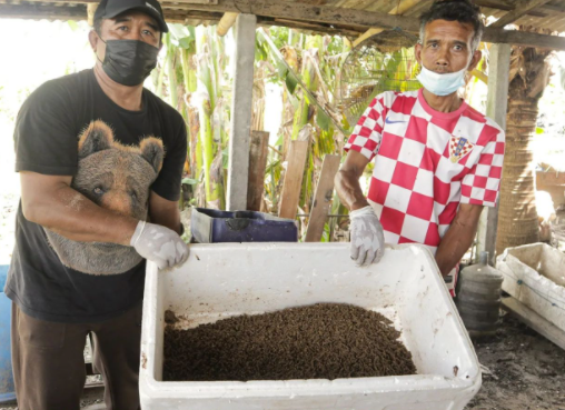 Pendampingan Pembuatan Pakan Ikan Mandiri