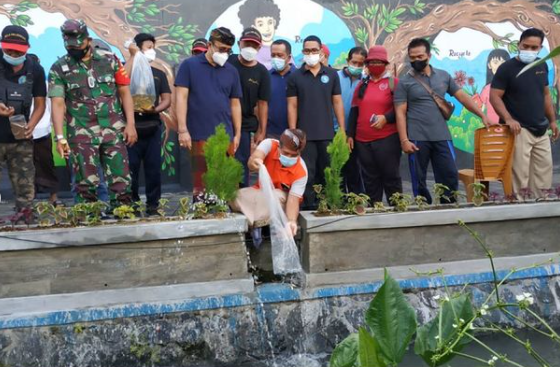 Penebaran Benih Ikan Koi