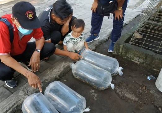 Penebaran Benih Ikan Nila