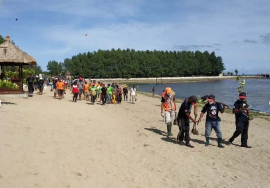 Penanaman Bibit Mangrove dan Tanaman Pantai
