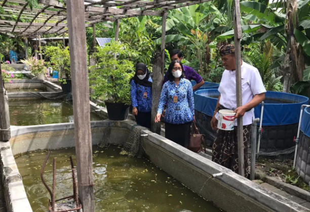 Pemantauan HPI, pengecekan kualitas air, distribusi obat, brosur & inventarisasi