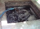 BIO URINE KAMBING DAN LIMBAH PADAT UNTUK PUPUK