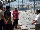 TIM EKORA KOTA DENPASAR,STUDI BANDING