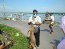 Eliminasi Anjing Liar di Kelurahan Serangan