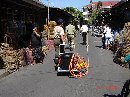 GRAND SPARYER UNTUK ANTISIPASI AI