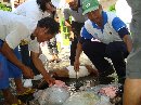 Daging Hewan Kurban Layak di Konsumsi