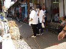 PERANG MELAWAN VIRUS FLU BURUNG(Pasar Burung Sanglah)