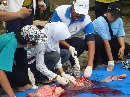 Pengawasan Pemotongan Hewan Kurban