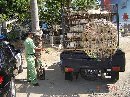 PEMERIKSAAN DAN PENGENDALIAN LINTAS UNGGAS POTONG