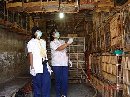 PERANG MELAWAN VIRUS FLU BURUNG
