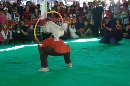 Gambar 1