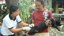 Jemput Bola dalam Vaksinasi