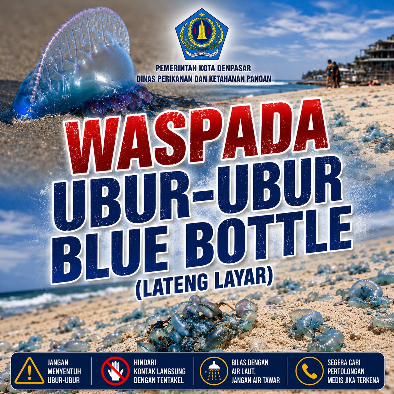 Peringatan Waspada Ubur-Ubur Blue Botol (Lateng Layar) Area Pantai Sanur